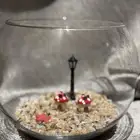 حوض سمك لأسماك الزينه