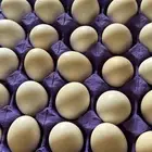 بيض ب20 ريال للطبق فيومي الامنيوم و بلدي مخصب وللأكل