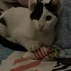 أنقذوني من الشارع