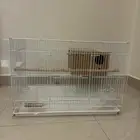 قفص طيور ابيض نظيف جدا