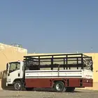 دينة ايسوزو مديل 2023 صندوق للإجار