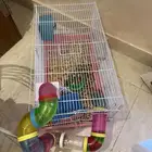 حيوان هامستر