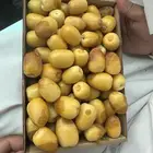 رطب إخلاص خراف اليوم
