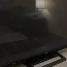 تلفزيون