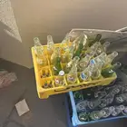 ببسي سفن ميرندا اشكال كثير للبيع اثار