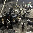 دومه الجندل