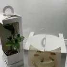 بوكس بلانت كيك - كيكة   نبتة