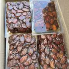 تمر خلاص اشيقر درجه اوله