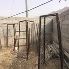 شبك للشجر