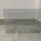 قصف طيور