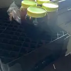 عسل طبيعي سدر عسل طلح