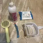 اغراض قطه