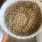 للبيع بذور الرقروق للفقع