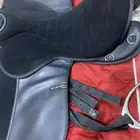 سرج خيل ستيتوس