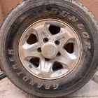 جنوط للبيع
