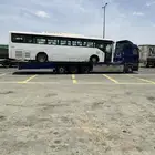 لوبد مكره سحاب متواجد في القنفذه المظيلف