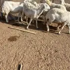 حريات للبيع