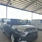 رايز ليمتد 2025