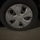 مطلوب. طيس سبارك في حايل