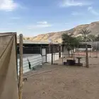 مضلات وبركس وخيمه للبيع