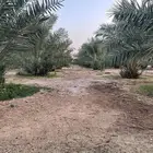 فسايل اخلاص مجاني