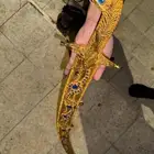 سيف نظيف جدا