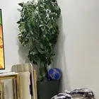 شجره جميله جدا مستهلكه لمده 4 شهور