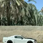 موستنج
