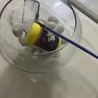 اغراض سمكة فايتر