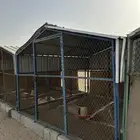 ثلاث صنادق طيور