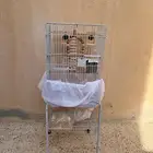 قفص كاسكو