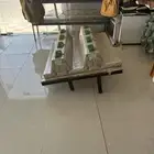 شبة طيور