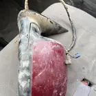 يوجد مراية جمس