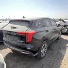 2023 للبيع هافال جوليان