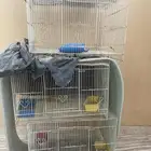 اقفاص واغراض