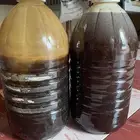 عسل فاخر