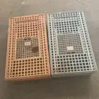 شبك اصفر