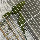 طيور الدره وكروان