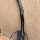 جناح موستنج