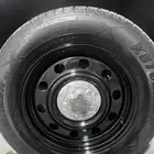 جنوط فورد بوليسي