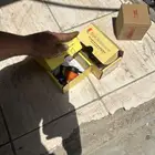 قطع بيجو 207