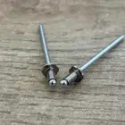 براشيم البليته