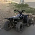 دباب