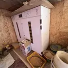 شعب مراح بمشروع دواجن