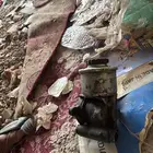 قطع غيار جيب شاص وربع 80 الى84