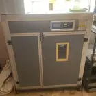 فقاسه تماتيك للبيع