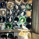 للبيع حمام فرنسي شرط الانتاج فوق 80