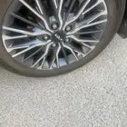 جنوط
