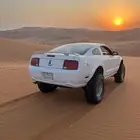 موستنق مرهم دبل