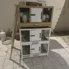 حي جبرة